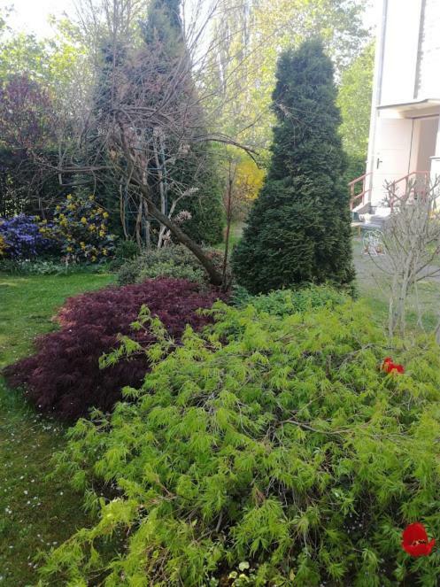 Appartamento Hradiska Jablonné nad Orlicí Esterno foto